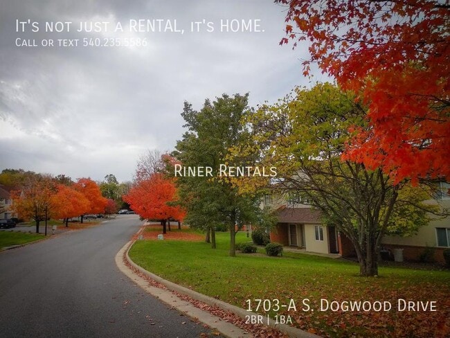 Photo - 1703-A S Dogwood Dr Apartment