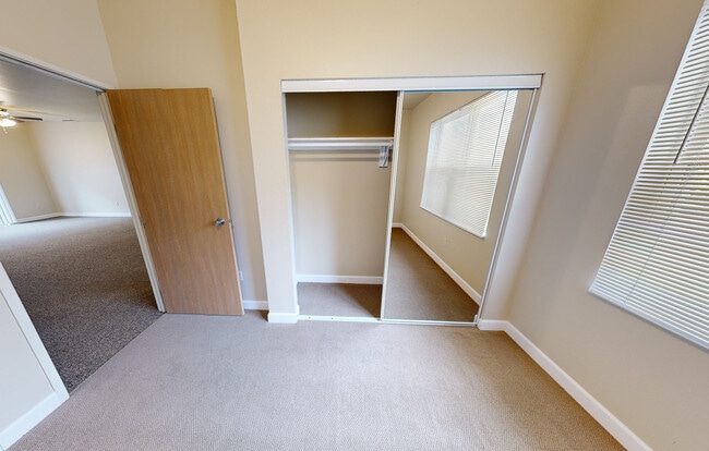 Downstairs Bedroom 1