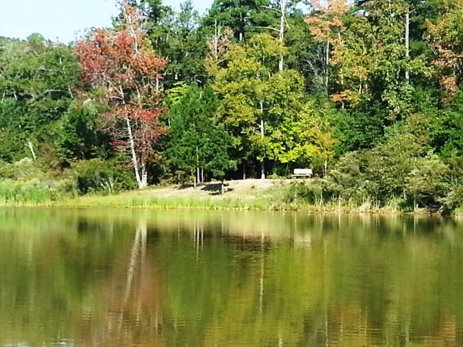 Nearby Faulkner Park Lake