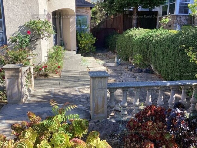 Photo - Sky Hawks finest at a price that can't be beat