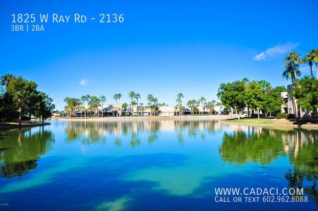 Photo - 1825 W Ray Rd Casa