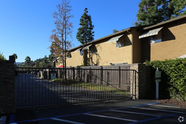 Pinos del pueblo - Village Pines