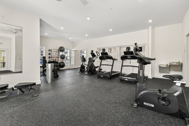 Photo - Alkire Meadows