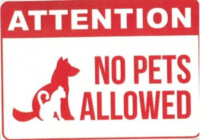 Photo - 3 bedroom 2 bath single family home in Kodak, TN