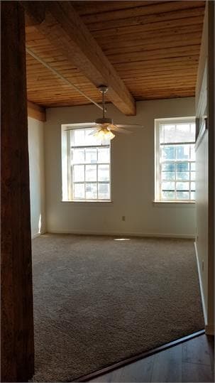 Shoe Factory Apartments