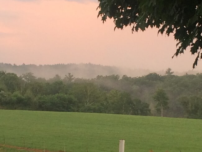 Photo - 61 Chesterfield Rd