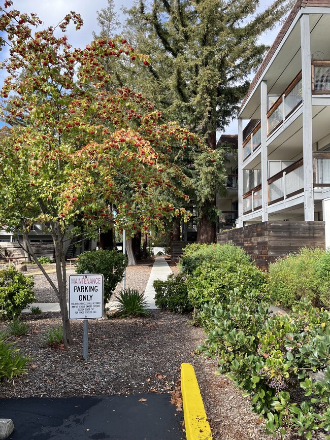 Photo - 4081 Clayton Rd