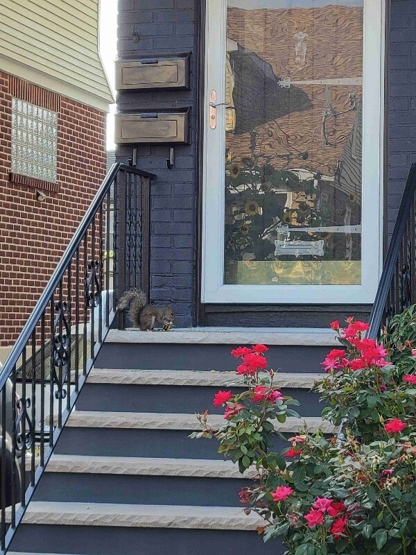 Photo - 32 Hamilton Ave
