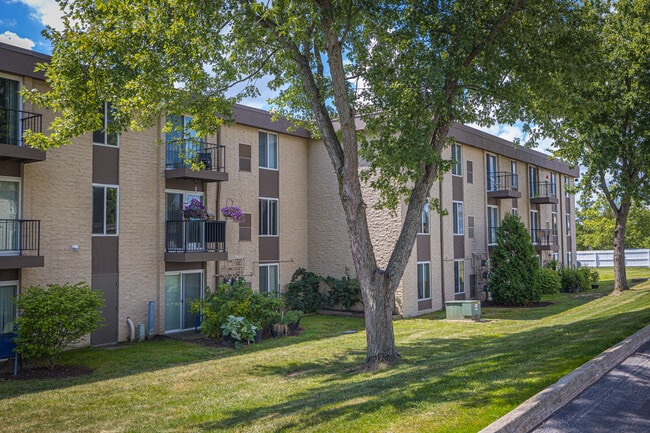 Village on South Carpenter