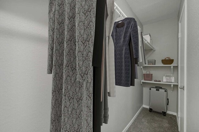 Walk-in closet with hanging clothes, white wall-mounted shelving, accessories, and a rolling suitcase on carpet