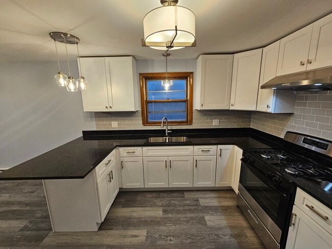 Photo - 4640 South Avers Avenue Unit 2F