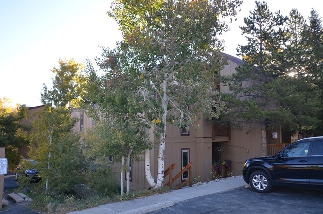 Building Photo - Long Winter Lease!  Fully Furnished, on bu... Rental