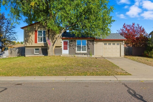 Building Photo - 3 Bedroom 2 Bathroom House With Huge Backy...