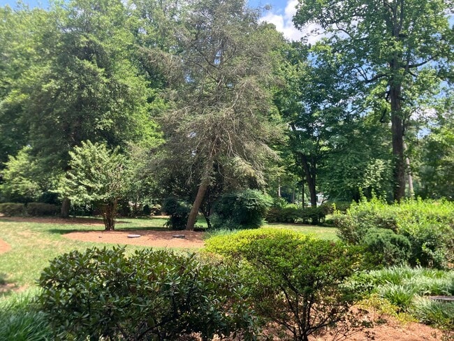 Photo - 5503 Currituck Pl