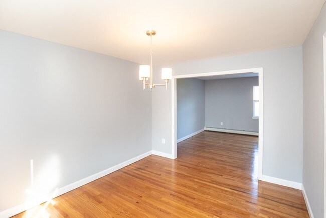 Photo - Floral Gardens