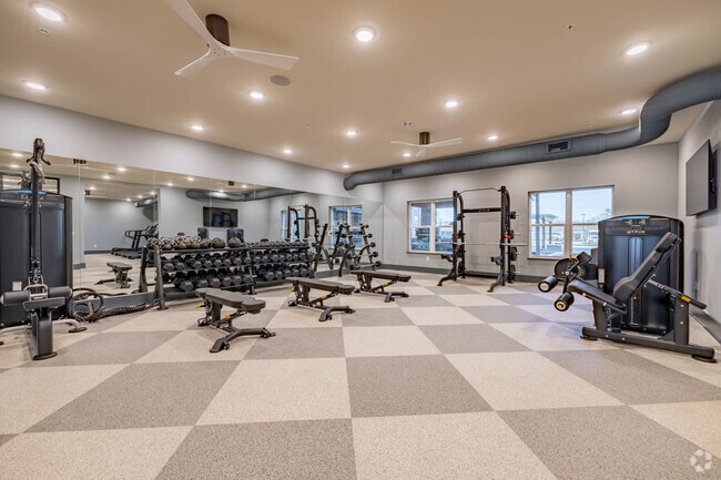 Gimnasio