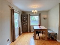 Photo - 6 Chestnut St