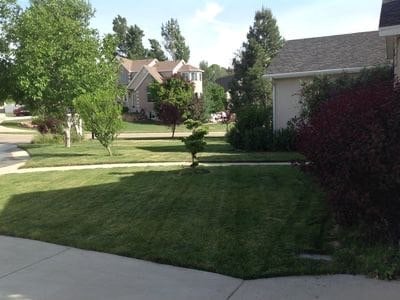 Photo - 12000 S Allison Pk Ct