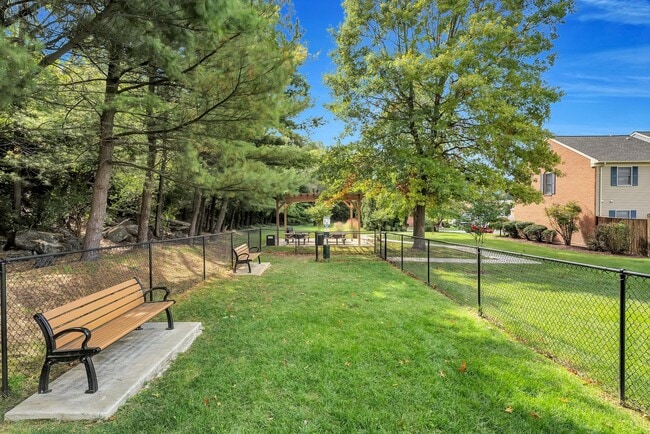 Linden at Elmtree