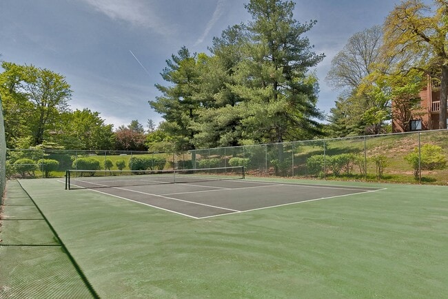 Photo - 128 Turtle Creek #9