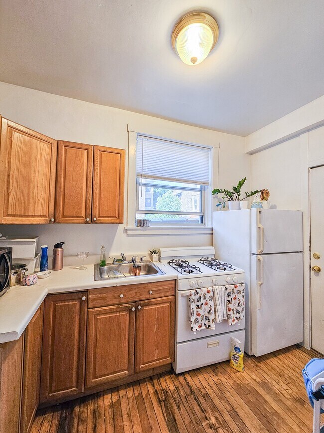 1039 W North Shore Ave Unit 2