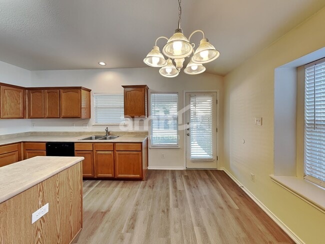 Photo - 11039 Arabian Palm