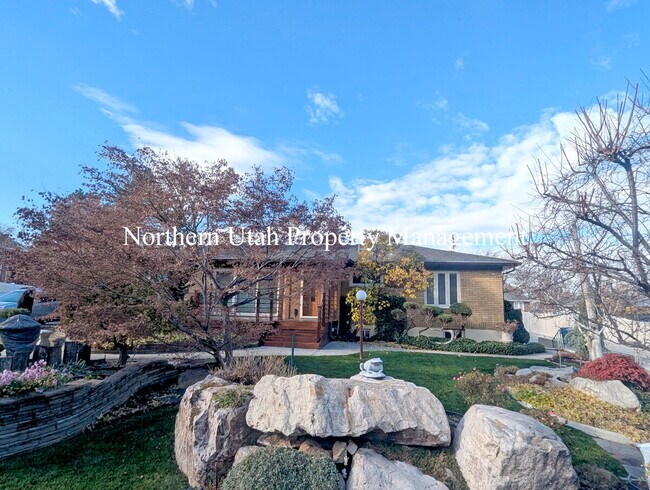 Building Photo - 1 Bed 1 Bath Lower Unit