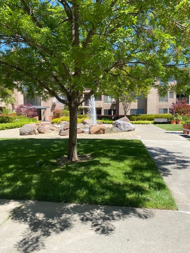 Photo - Gorgeous Monte Merano Condo for rent