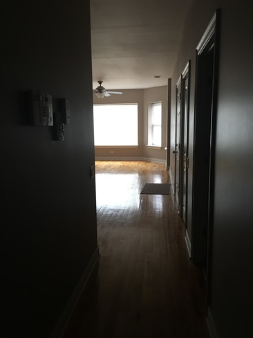 View from rear-hallway - 1462 E 69th St Condo Unit 2