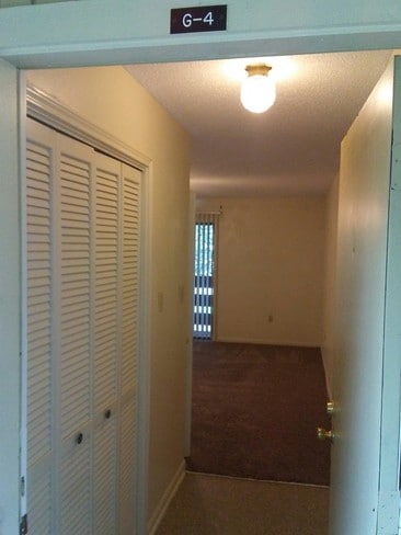 Photo - Palmetto Creek Apartments