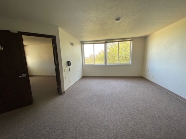 Photo - Woodland Park - Holstein