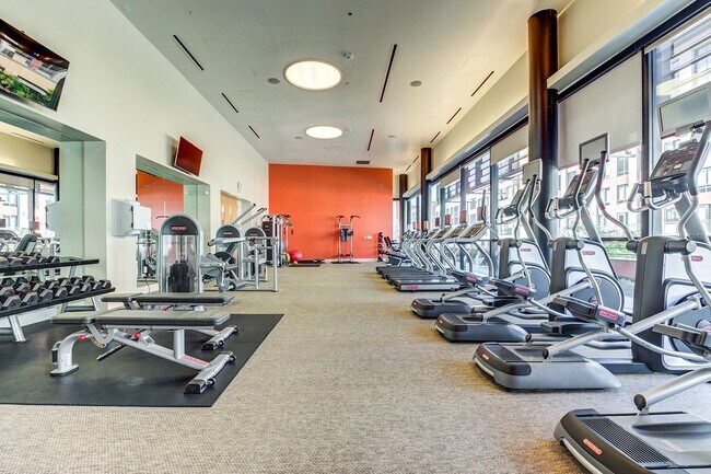 Venue Apartments