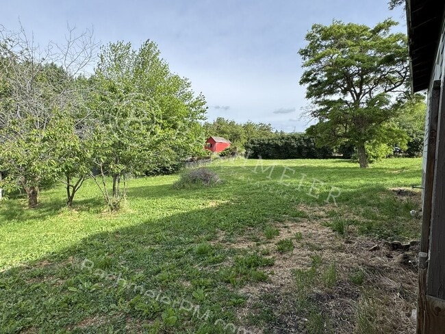 Photo - 3 bedroom 1 bath home with large yard