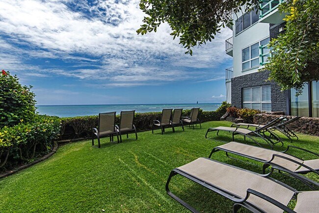 Photo - Diamond Head Ambassador #201