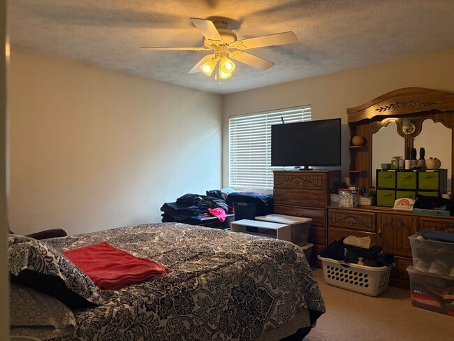 Photo - New Home For Rent Bellevue!