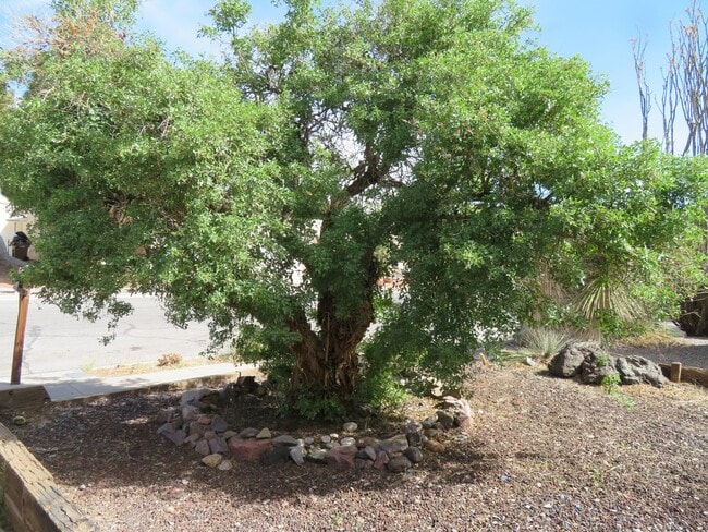 Photo - Clean 3 Bedroom 2 Bath Home For Rent