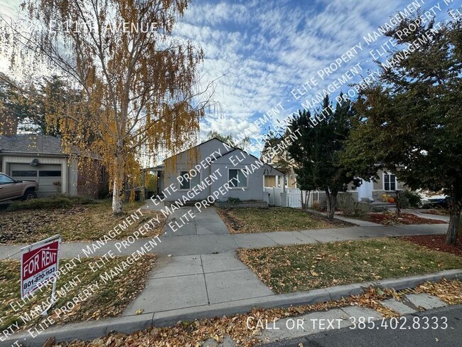 Updated 4 bed 2 Bath in great neighborhood! - Updated 4 bed 2 Bath in great neighborhood! House