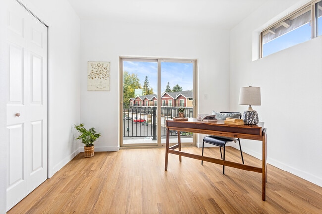 Photo - 2023 Salam Lp