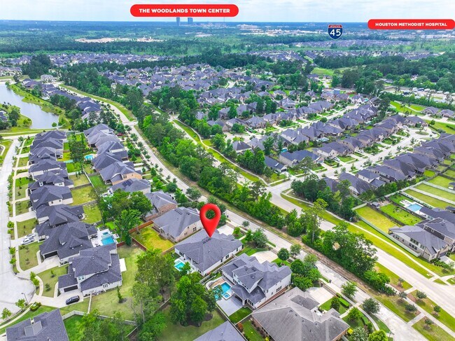 Photo - 10561 Lake Palmetto Dr