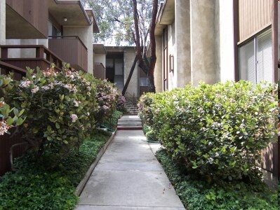 Fiesta Apartments - Fiesta Apartments