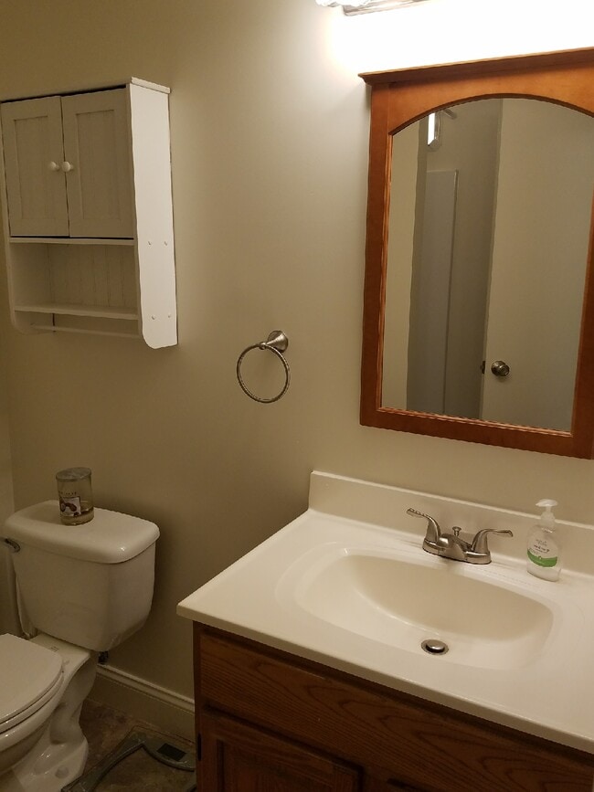 bathroom - 318 East Patrick Street Unit #1