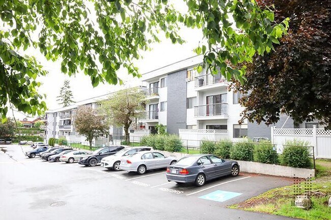 Photo - Chelsea Park Gardens