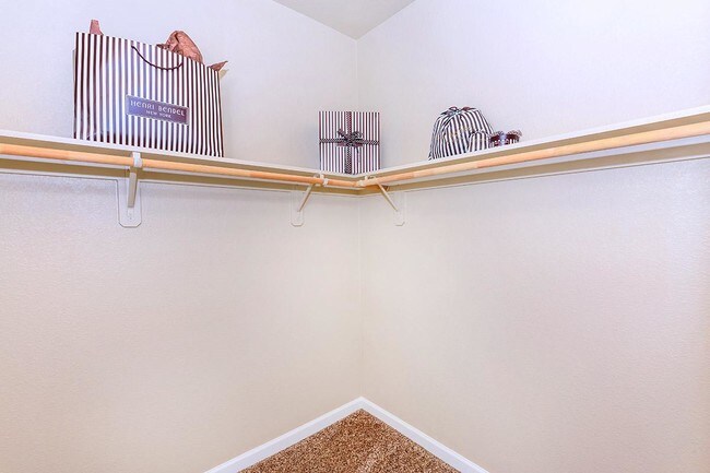 Boulder Creek Apartments