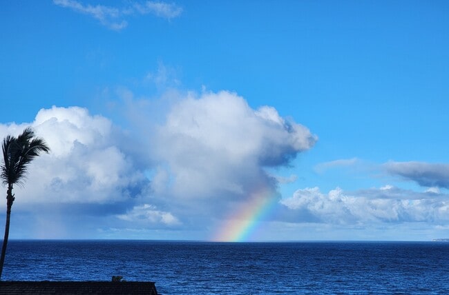 Building Photo - 1367 Kakae Pl