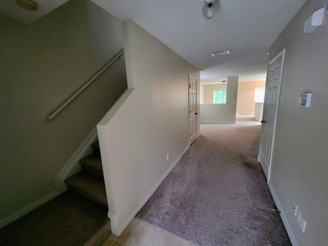 Photo - Winding River