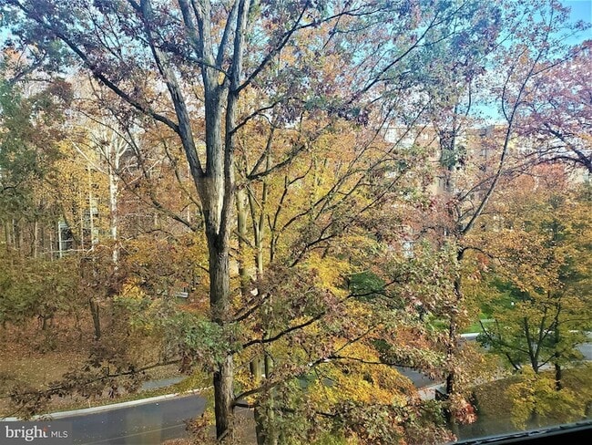 Photo - 15100 Interlachen Dr Unit 4-516