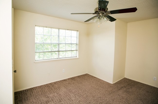 Lots of Natural Light