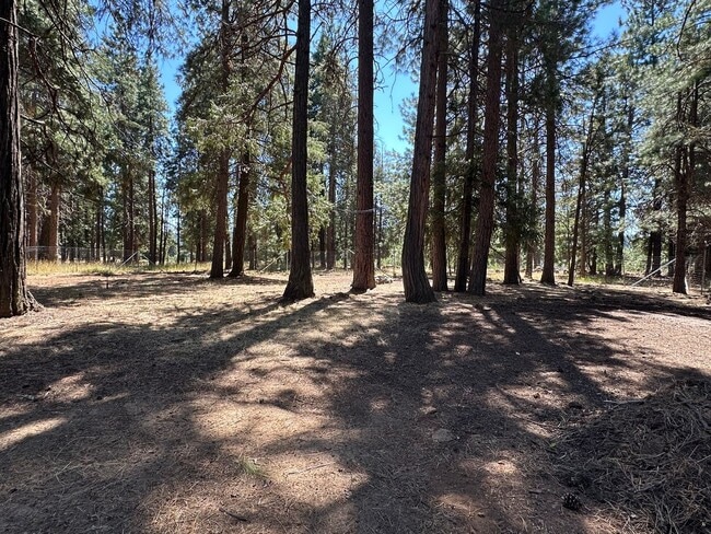 Photo - 18406 Freight Rd Ln