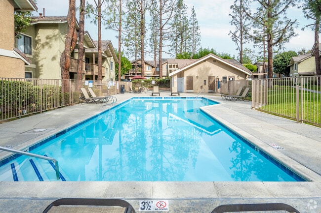 Pool and Spa