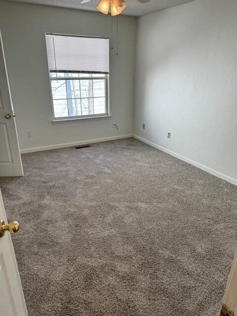 2820 Saw Palmetto Ln